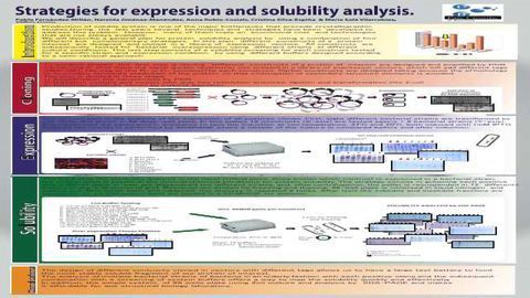 Strategies for expression and solubility analysis