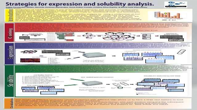 Strategies for expression and solubility analysis content piece image 