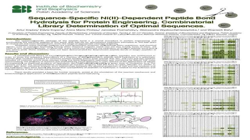 Sequence-Specific Ni(II)-Dependent Peptide Bond Hydrolysis for Protein Engineering. Combinatorial Library Determination of Optimal Sequences content piece image