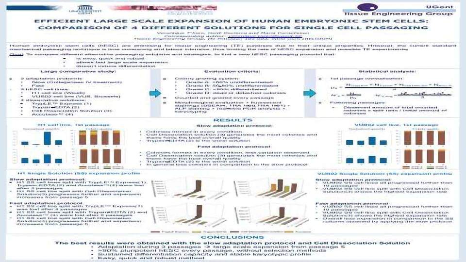 EFFICIENT LARGE SCALE EXPANSION OF HUMAN EMBRYONIC STEM CELLS: COMPARISON OF 4 DIFFERENT SOLUTIONS FOR SINGLE CELL PASSAGING content piece image