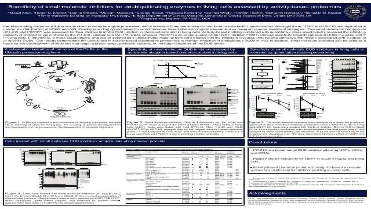 Specificity of small molecule inhibitors for deubiquitinating enzymes in living cells assessed by activity-based proteomics