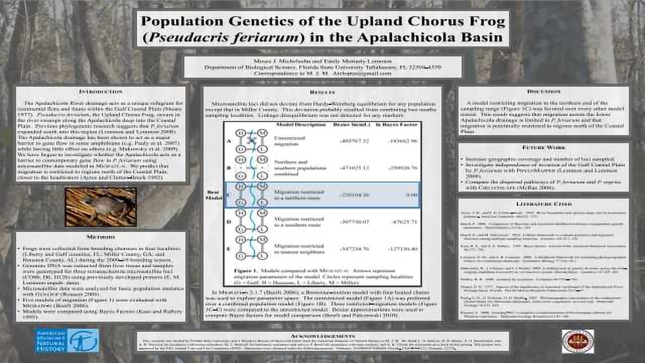 Population Genetics of the Upland Chorus Frog (Pseudacris feriarum) in the Apalachicola Basin