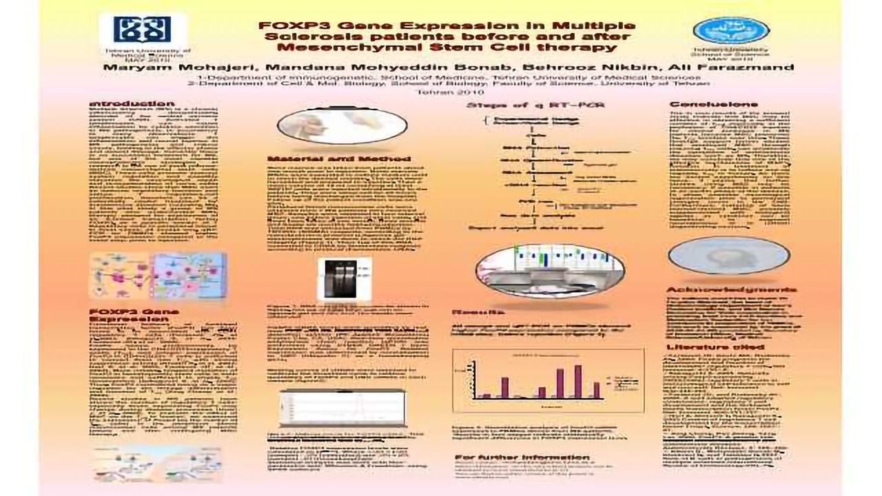 FOXP3 Gene Expression in Multiple Sclerosis patients before and after Mesenchymal Stem Cell therapy