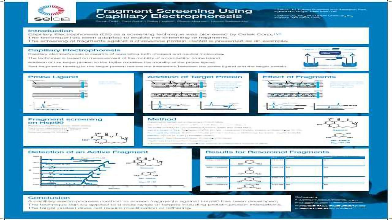 Fragment Screening Using Capillary Electrophoresis