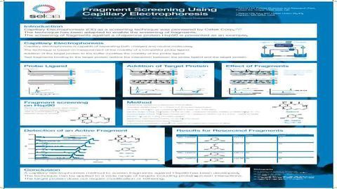Fragment Screening Using Capillary Electrophoresis