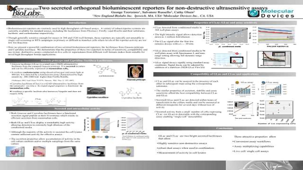 Two secreted orthogonal bioluminescent reporters for non-destructive ultrasensitive assays