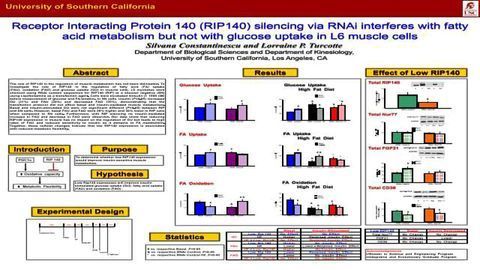 Receptor Interacting Protein 140 (RIP140) silencing via RNAi interferes with fatty acid metabolism but not with glucose uptake in L6 muscle cells