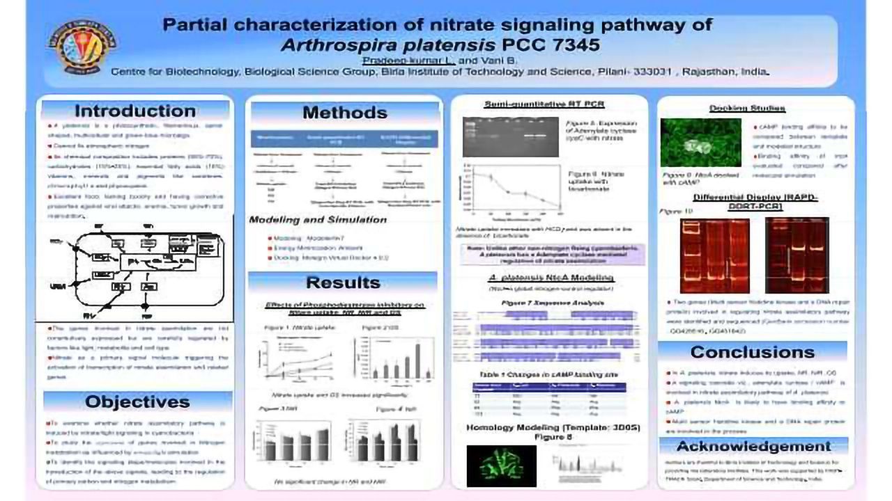 Partial characterization of nitrate signaling pathway of Arthrospira platensis PCC 7345