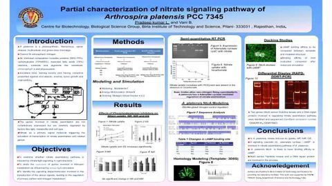 Partial characterization of nitrate signaling pathway of Arthrospira platensis PCC 7345
