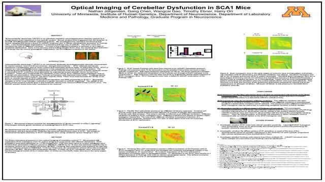 Automated Sample Pretreatment of Environmental content piece image 