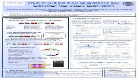 Study of an inducible lysis device in E. coli