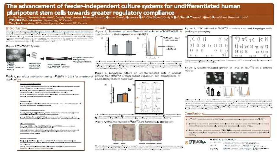 The advancement of feeder-independent culture systems for undifferentiated human pluripotent stem cells towards greater regulatory compliance content piece image