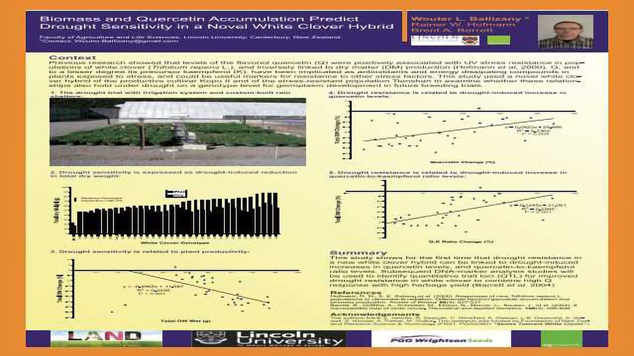 Biomass and Quercetin Accumulation Predict Drought Sensitivity in a Novel White Clover Hybrid