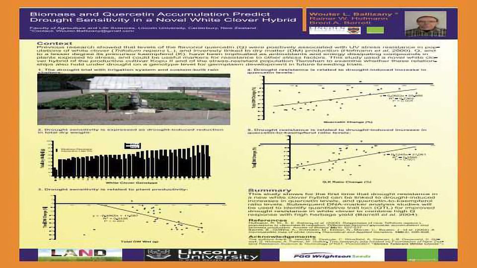 Biomass and Quercetin Accumulation Predict Drought Sensitivity in a Novel White Clover Hybrid content piece image