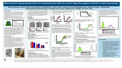 Microcarrier based production of cryopreserved cells
