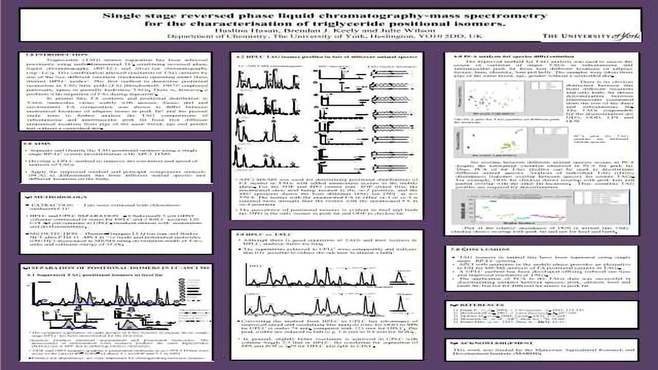 Single stage reversed-phase liquid chromatography-mass spectrometry for the characterization of triglyceride positional isomers.