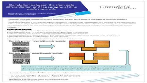 Correlation between the stem cells differentiation and topography of Zinc oxide nanorods