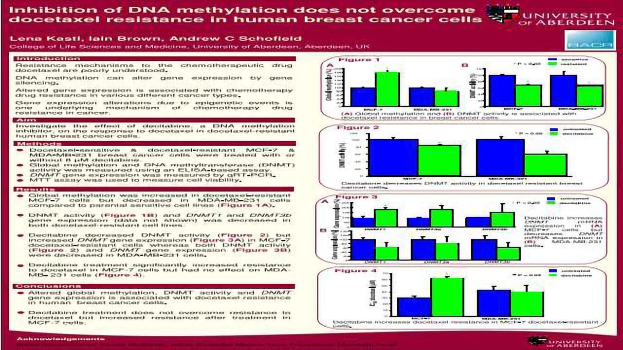 Inhibition of DNA methylation does not overcome docetaxel resistance in human breast cancer cells