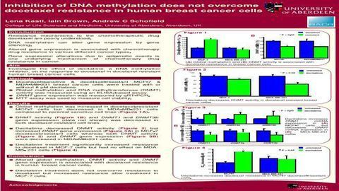 Inhibition of DNA methylation does not overcome docetaxel resistance in human breast cancer cells