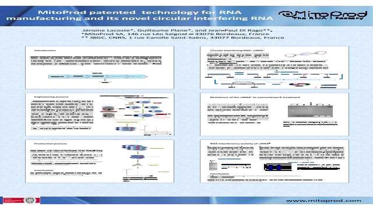 MitoProd patented technology for RNA manufacturing and its novel circular interfering RNA