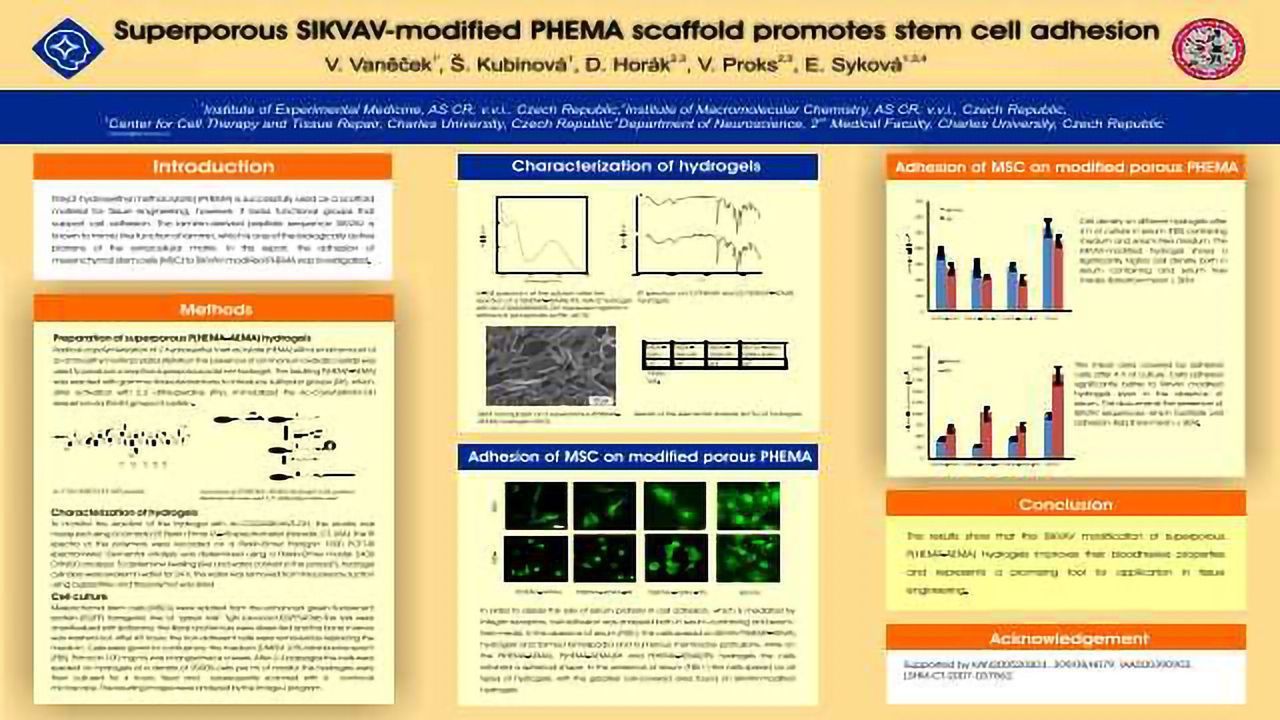 Superporous SIKVAV-modified PHEMA scaffold promotes stem cell adhesion