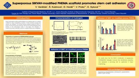 Superporous SIKVAV-modified PHEMA scaffold promotes stem cell adhesion