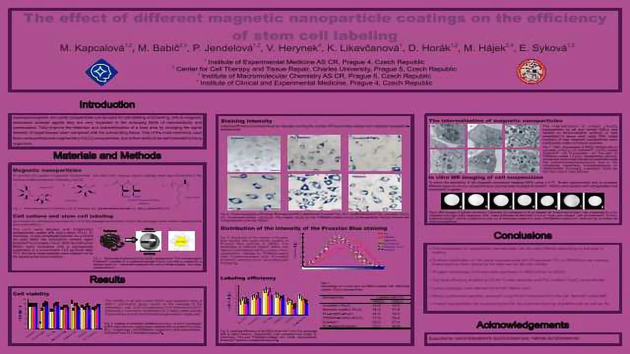 The effect of different magnetic nanoparticle coatings on the efficiency of stem cell labeling