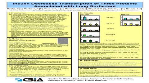 Insulin Decreases Transcription of Three Proteins Associated with Lung Surfactant