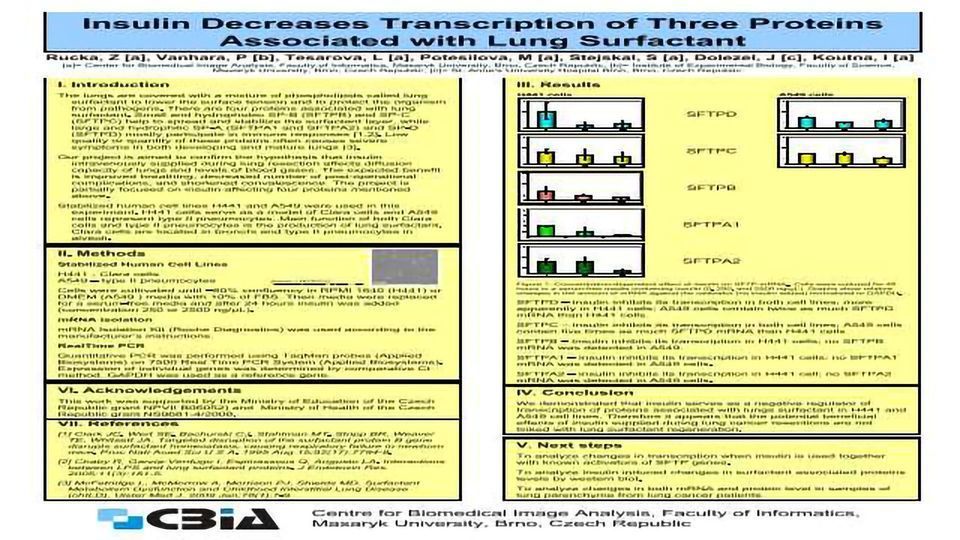 Insulin Decreases Transcription of Three Proteins Associated with Lung Surfactant content piece image