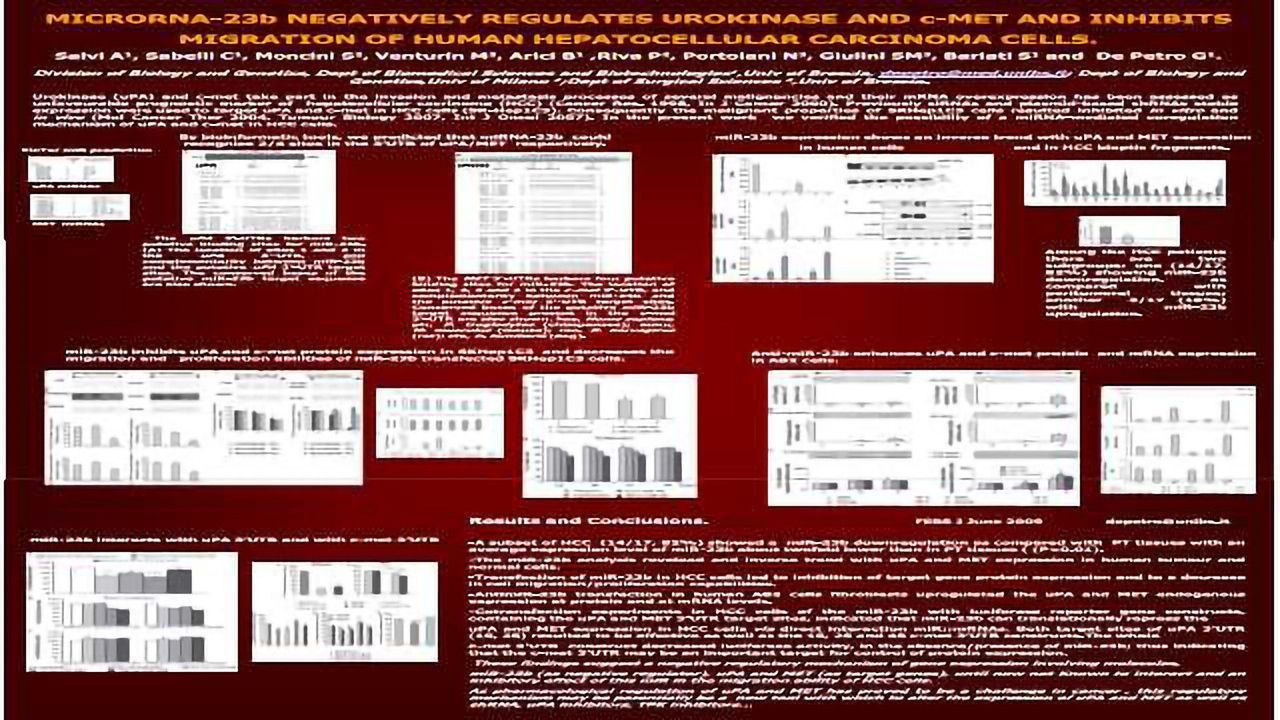 MicroRNA-23b negatively regulates urokinase and c-met and inhibits migration of human hepatocellular carcinoma cells.