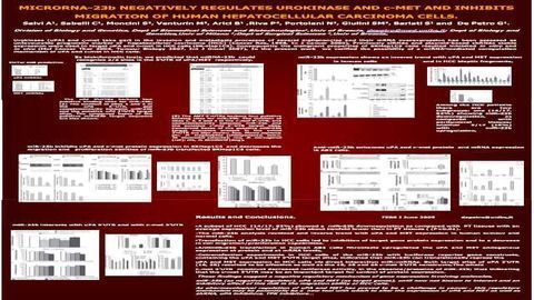 MicroRNA-23b negatively regulates urokinase and c-met and inhibits migration of human hepatocellular carcinoma cells.