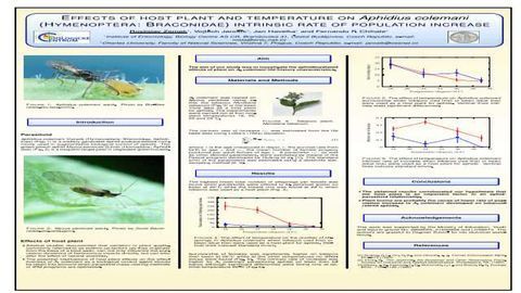 Effects of host plant and temperature on Aphidius colemani (Hymenoptera: Braconidae) intrinsic rate of population increase