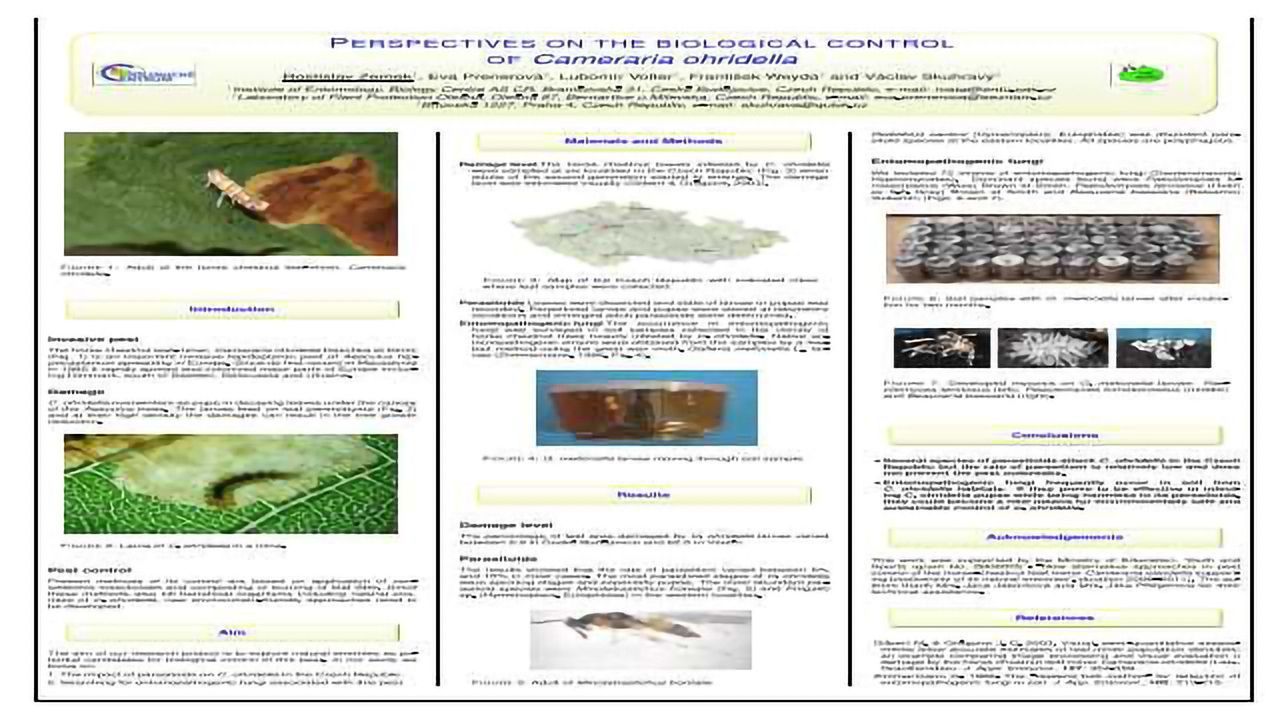 Perspectives on the biological control of Cameraria ohridella