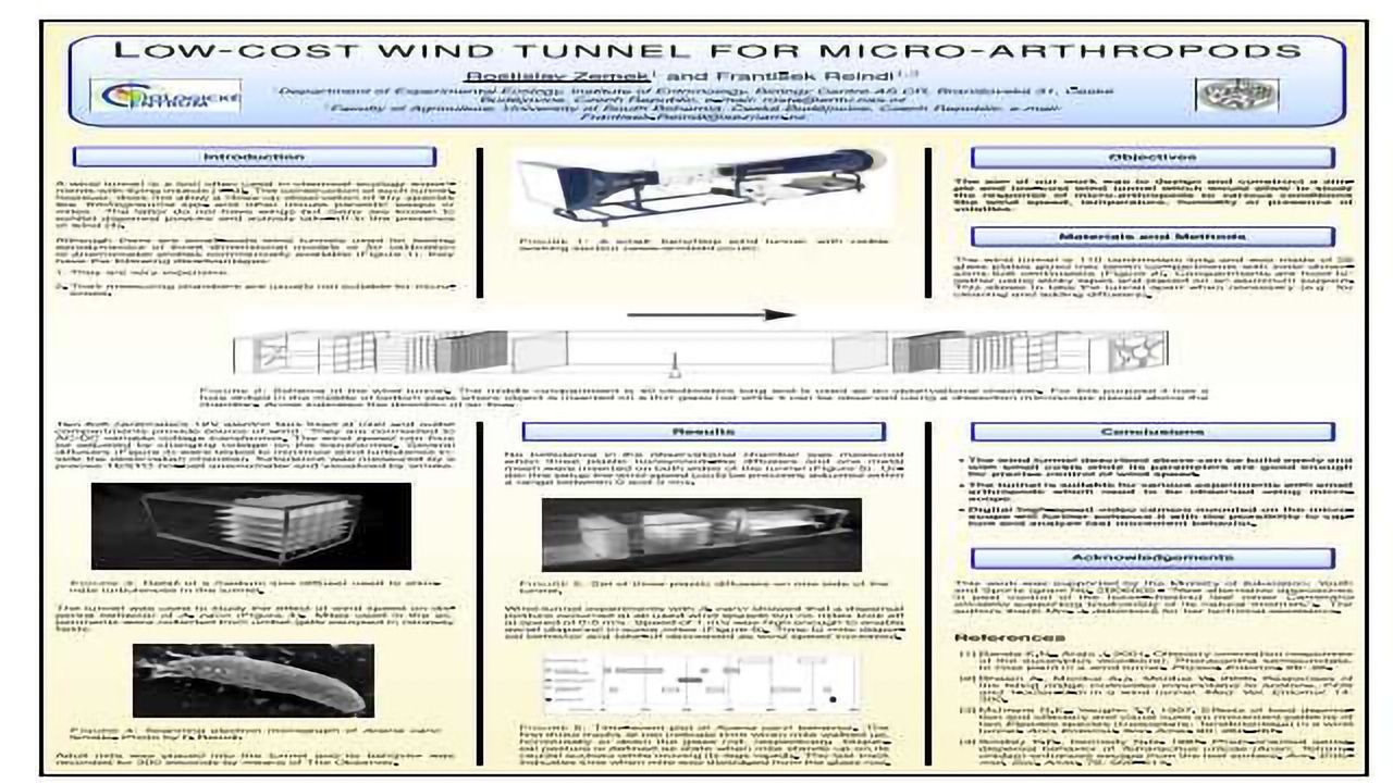 Low-cost wind tunnel for micro-arthropods
