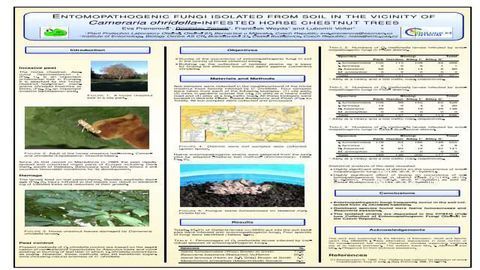 Entomopathogenic fungi isolated from soil in the vicinity of Cameraria ohridella - infested horse chestnut trees