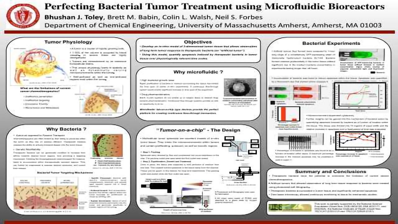 Perfecting Bacterial Tumor Treatment using Microfluidic Bioreactors