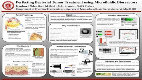 Perfecting Bacterial Tumor Treatment using Microfluidic Bioreactors