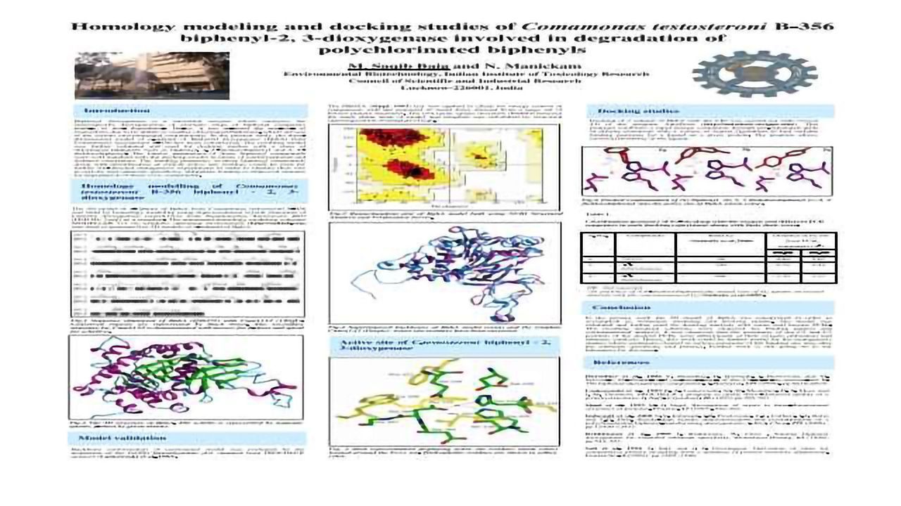 Homology modeling and docking studies of Comamonas testosteroni B-356 biphenyl-2, 3-dioxygenase involved in degradation of polychlorinated biphenyls