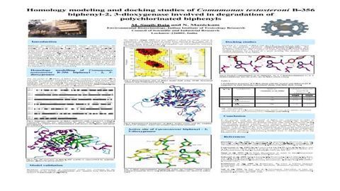 Homology modeling and docking studies of Comamonas testosteroni B-356 biphenyl-2, 3-dioxygenase involved in degradation of polychlorinated biphenyls