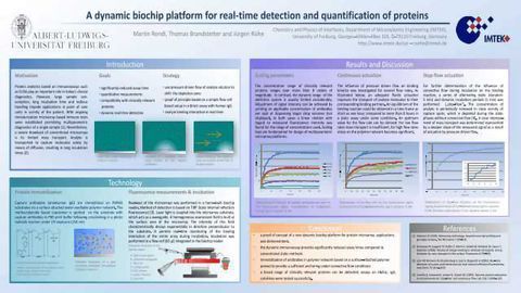 A novel dynamic biochip platform for real-time detection and quantification of proteins