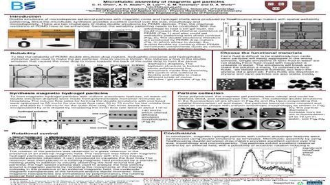 Microfluidic assembly of magnetic gel particles