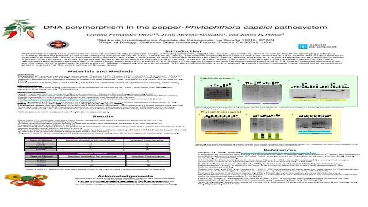 DNA polymorphism in the pepper-Phytophthora capsici pathosystem