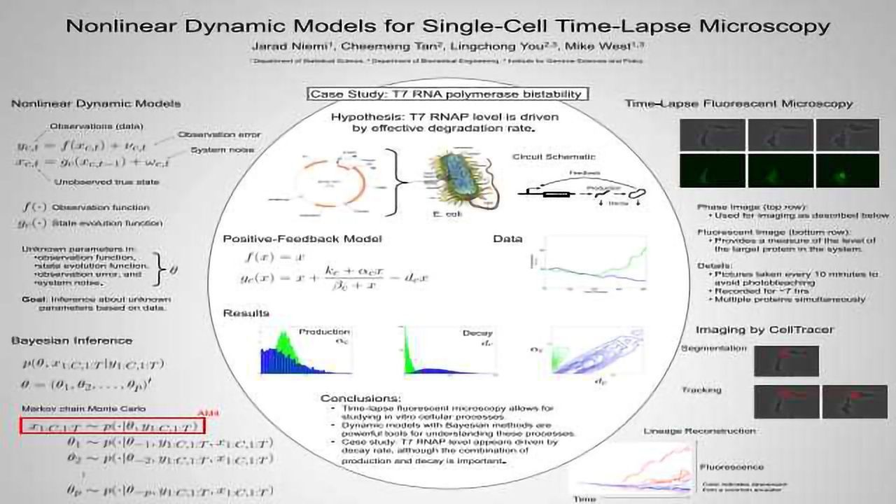 Nonlinear Dynamic Models for Single-Cell Time-Lapse Microscopy