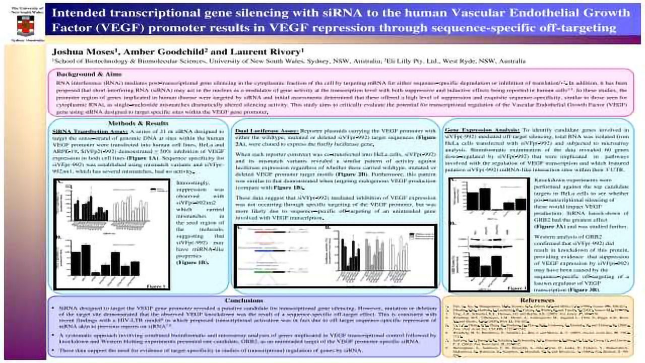 Intended transcriptional gene silencing with siRNA to the human Vascular Endothelial Growth Factor (VEGF) promoter results in VEGF repression through sequence-specific off-targeting
