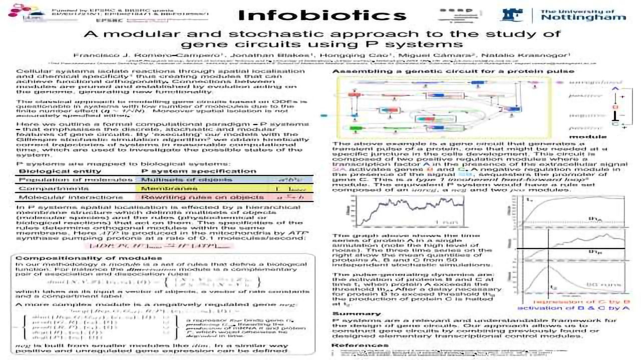 A modular and stochastic approach to the study of gene circuits using P systems