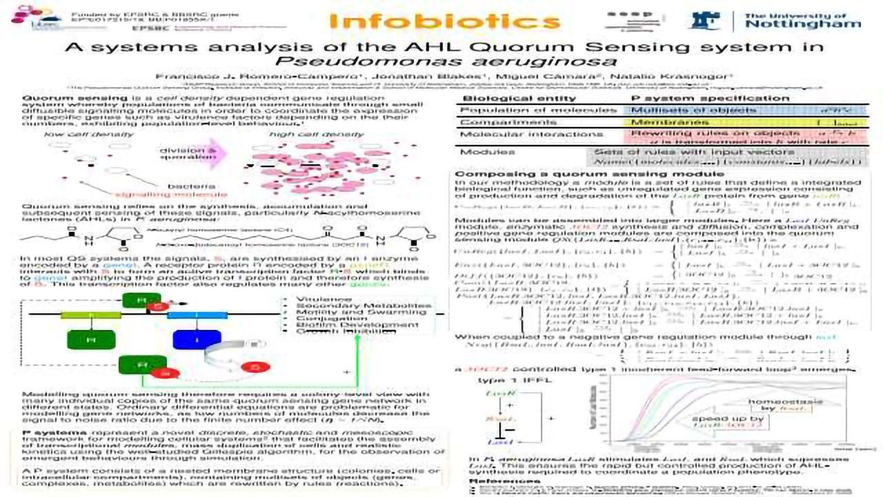 A systems analysis of the AHL Quorum Sensing system in Pseudomonas aeruginosa