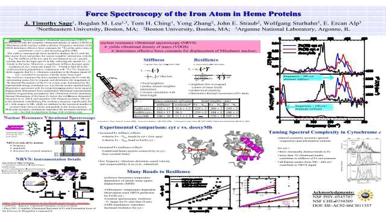 Force Spectroscopy of the Iron Atom in Heme Proteins