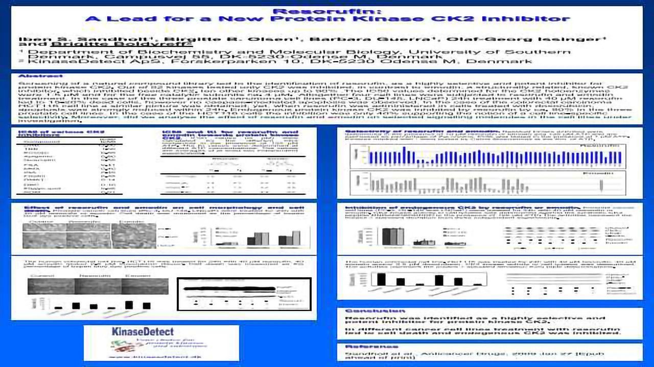 Resorufin - a lead for a new protein kinase CK2 inhibitor
