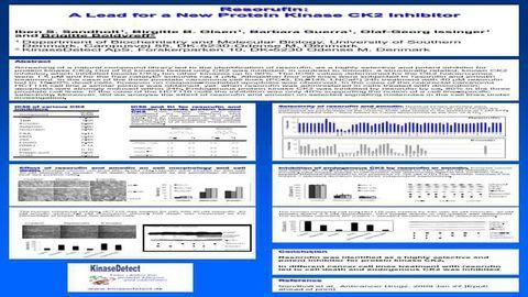 Resorufin - a lead for a new protein kinase CK2 inhibitor