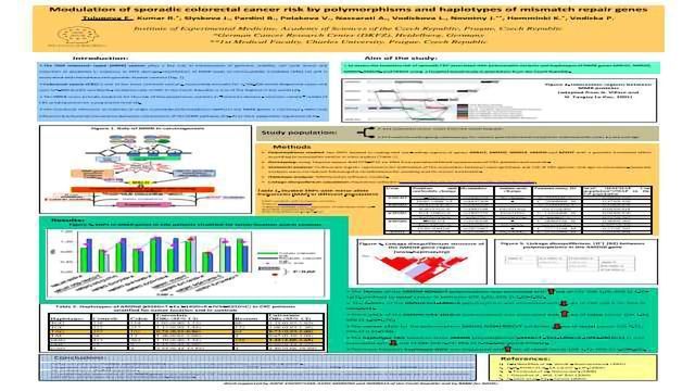 Modulation of sporadic colorectal cancer risk by polymorphisms and haplotypes of mismatch repair genes content piece image 